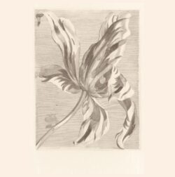 Eijffinger Masterpiece Tulip Teyler behang - Mobiel Interieur